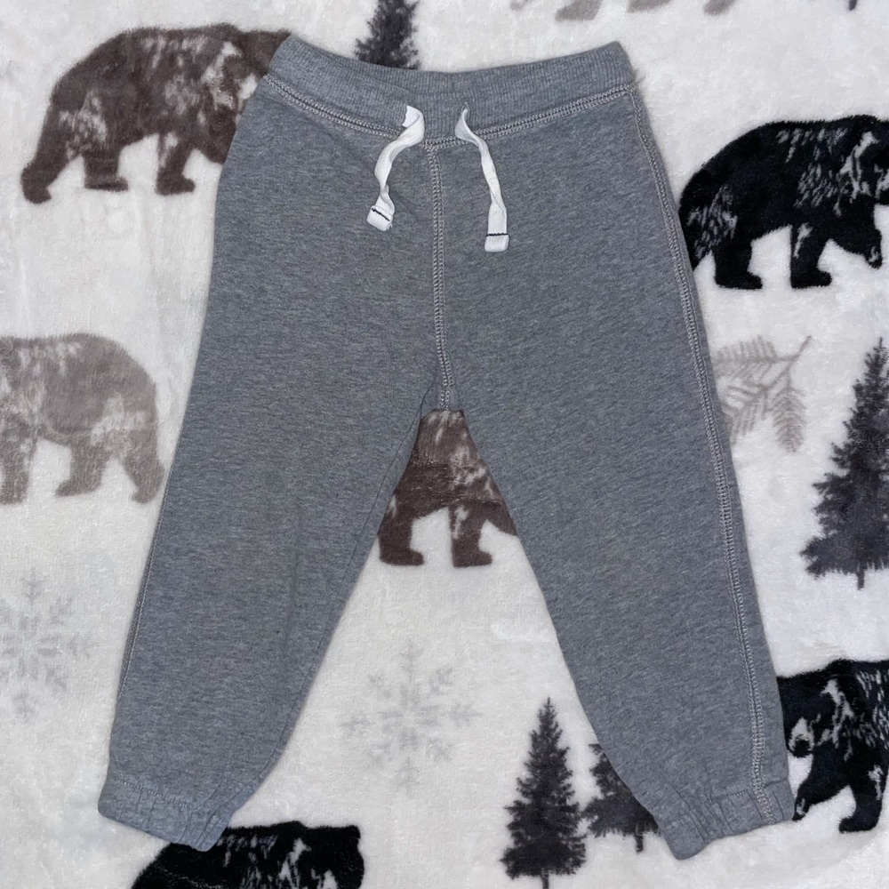 🎉2T Carter’s Sweatpants🎉